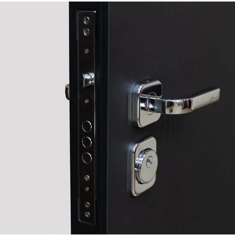 Товар Дверь Цербер SS-01 Только 96 DIS007136